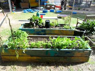 Installed Kindergarten vegetable garden in Adelaide